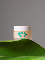 Night Cream